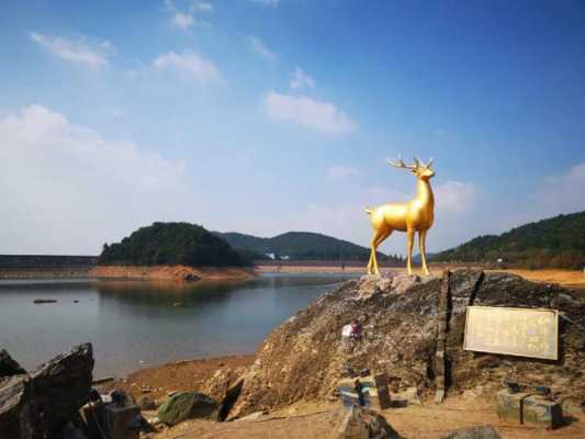 金华吃海鲜哪里好(金华附近赶海地点)-第3张图片-厨房小当家 金华吃海鲜哪里好(金华附近赶海地点)-第3张图片-厨房小当家