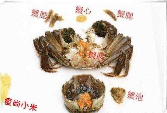 螃蟹的内脏在哪里(螃蟹的内脏在哪里)-第1张图片-厨房小当家 螃蟹的内脏在哪里(螃蟹的内脏在哪里)-第1张图片-厨房小当家