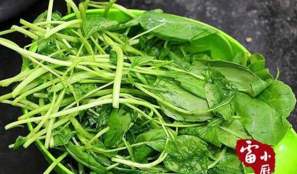 橄榄菜长在哪里(橄榄菜的种植方法和时间)-第1张图片-厨房小当家 橄榄菜长在哪里(橄榄菜的种植方法和时间)-第1张图片-厨房小当家