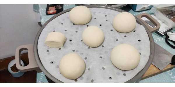 想学蒸馒头到哪里（想学蒸馒头到哪里学比较好）-第3张图片-厨房小当家