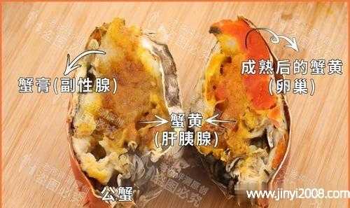 大闸蟹有蟹黄吗,大闸蟹的蟹黄在哪里图片-第2张图片-厨房小当家