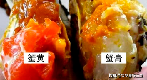大闸蟹有蟹黄吗,大闸蟹的蟹黄在哪里图片-第1张图片-厨房小当家