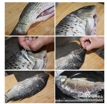 鲤鱼腥线在哪里(鲤鱼腥线怎么去掉)-第1张图片-厨房小当家 鲤鱼腥线在哪里(鲤鱼腥线怎么去掉)-第1张图片-厨房小当家