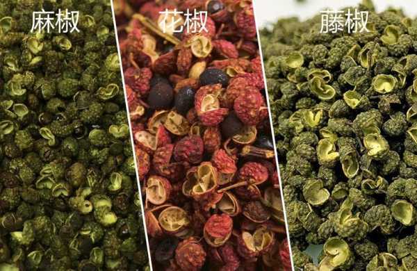 麻椒哪里的最好(麻椒哪里的最好吃)-第2张图片-厨房小当家 麻椒哪里的最好(麻椒哪里的最好吃)-第2张图片-厨房小当家