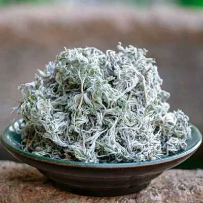 茵陈茶哪里有卖(茵陈在哪里可以买到)-第2张图片-厨房小当家 茵陈茶哪里有卖(茵陈在哪里可以买到)-第2张图片-厨房小当家