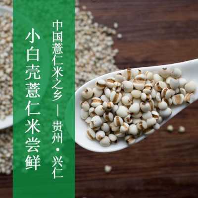 薏仁米哪里产的最好(薏仁米哪里产的最好吃)-第1张图片-厨房小当家 薏仁米哪里产的最好(薏仁米哪里产的最好吃)-第1张图片-厨房小当家