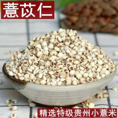 薏仁米哪里产的最好(薏仁米哪里产的最好吃)-第3张图片-厨房小当家 薏仁米哪里产的最好(薏仁米哪里产的最好吃)-第3张图片-厨房小当家