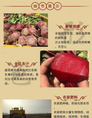 红菜头哪里有卖(甜菜根超市有卖吗)-第1张图片-厨房小当家 红菜头哪里有卖(甜菜根超市有卖吗)-第1张图片-厨房小当家