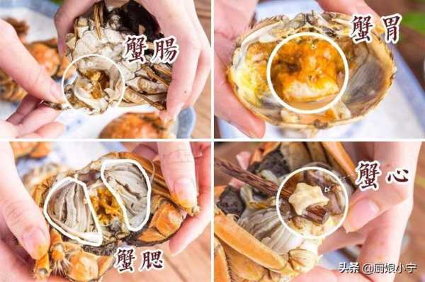 螃蟹的粪便在哪里(吃螃蟹时,怎样分辨哪里是螃蟹屎,哪里是螃蟹黄)-第3张图片-厨房小当家 螃蟹的粪便在哪里(吃螃蟹时,怎样分辨哪里是螃蟹屎,哪里是螃蟹黄)-第3张图片-厨房小当家