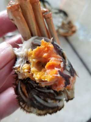 螃蟹的粪便在哪里(吃螃蟹时,怎样分辨哪里是螃蟹屎,哪里是螃蟹黄)-第1张图片-厨房小当家 螃蟹的粪便在哪里(吃螃蟹时,怎样分辨哪里是螃蟹屎,哪里是螃蟹黄)-第1张图片-厨房小当家