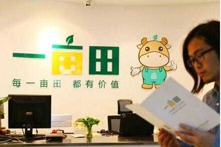 一亩田开店费用多少,加盟田老师怎么样赚钱-第2张图片-厨房小当家