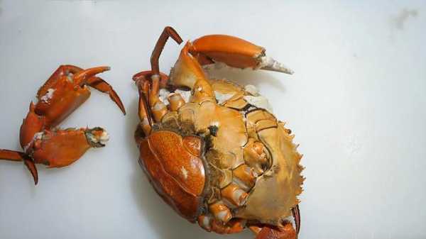 螃蟹哪里肉多(什么蟹腿上肉最多)-第3张图片-厨房小当家 螃蟹哪里肉多(什么蟹腿上肉最多)-第3张图片-厨房小当家