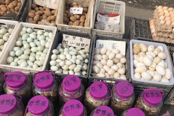 鹅蛋哪里的好(张家港哪里卖鹅蛋)-第2张图片-厨房小当家 鹅蛋哪里的好(张家港哪里卖鹅蛋)-第2张图片-厨房小当家