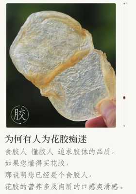 鱼胶片怎么处理,鱼胶片哪里买正宗-第3张图片-厨房小当家