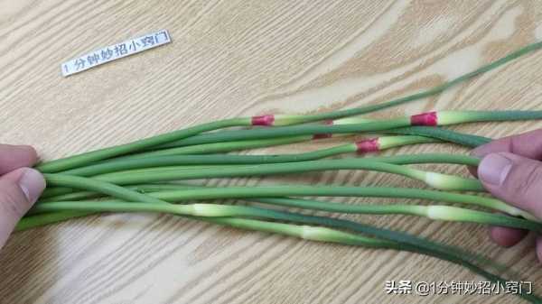 蒜苔哪里嫩(蒜苔根和头哪里最嫩)-第3张图片-厨房小当家 蒜苔哪里嫩(蒜苔根和头哪里最嫩)-第3张图片-厨房小当家