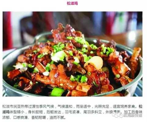 松滋鸡做法,松滋鸡哪里最好吃的-第1张图片-厨房小当家 松滋鸡做法,松滋鸡哪里最好吃的-第1张图片-厨房小当家
