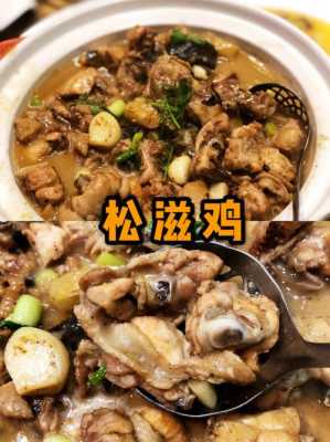 松滋鸡做法,松滋鸡哪里最好吃的-第3张图片-厨房小当家 松滋鸡做法,松滋鸡哪里最好吃的-第3张图片-厨房小当家