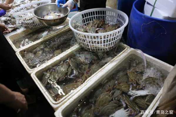 上海哪里买梭子蟹便宜,上海什么地方买海鲜便宜-第1张图片-厨房小当家 上海哪里买梭子蟹便宜,上海什么地方买海鲜便宜-第1张图片-厨房小当家
