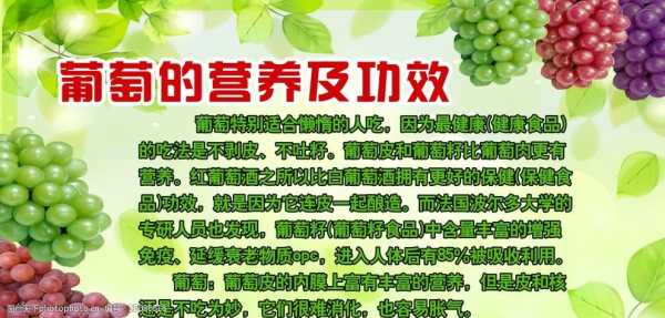 葡萄的营养在哪里(葡萄的营养在哪里?)-第1张图片-厨房小当家 葡萄的营养在哪里(葡萄的营养在哪里?)-第1张图片-厨房小当家