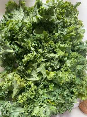 在广州羽衣甘蓝哪里有得卖,食用羽衣甘蓝哪里有卖的-第1张图片-厨房小当家 在广州羽衣甘蓝哪里有得卖,食用羽衣甘蓝哪里有卖的-第1张图片-厨房小当家