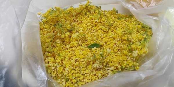干桂花在哪里买(买回来的干桂花如何处理)-第1张图片-厨房小当家 干桂花在哪里买(买回来的干桂花如何处理)-第1张图片-厨房小当家