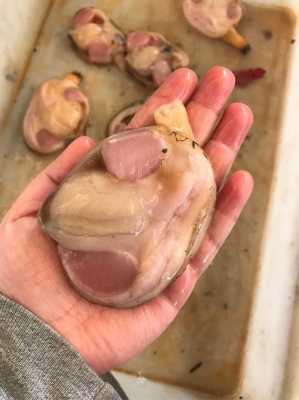 天鹅蛋肉哪里不能吃(天鹅蛋肉哪里不能吃图片)-第2张图片-厨房小当家 天鹅蛋肉哪里不能吃(天鹅蛋肉哪里不能吃图片)-第2张图片-厨房小当家