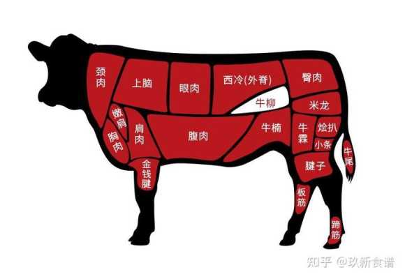 牛菲力 是指哪里(牛里脊为什么叫菲力)-第1张图片-厨房小当家 牛菲力 是指哪里(牛里脊为什么叫菲力)-第1张图片-厨房小当家