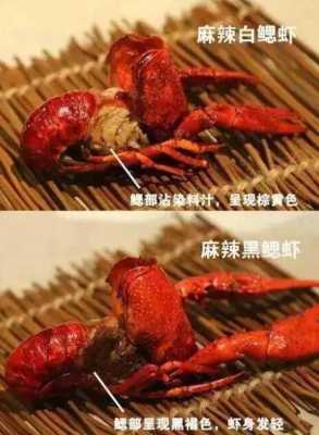 小龙虾哪里不能吃图解(龙虾哪些部位不能吃,小龙虾什么部位不)-第3张图片-厨房小当家 小龙虾哪里不能吃图解(龙虾哪些部位不能吃,小龙虾什么部位不)-第3张图片-厨房小当家