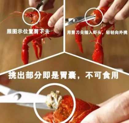 小龙虾哪里不能吃图解(龙虾哪些部位不能吃,小龙虾什么部位不)-第2张图片-厨房小当家 小龙虾哪里不能吃图解(龙虾哪些部位不能吃,小龙虾什么部位不)-第2张图片-厨房小当家