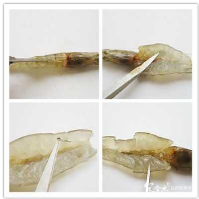 基围虾虾线怎么去除最简单方法,基围虾的虾线在背面还是腹部-第3张图片-厨房小当家 基围虾虾线怎么去除最简单方法,基围虾的虾线在背面还是腹部-第3张图片-厨房小当家