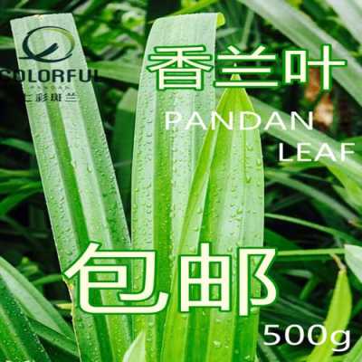 斑兰叶哪有买,香兰叶在哪里有卖的-第3张图片-厨房小当家 斑兰叶哪有买,香兰叶在哪里有卖的-第3张图片-厨房小当家