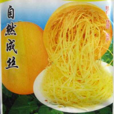 金丝绞瓜主产区是哪里(金丝绞瓜主产区是哪里的)-第1张图片-厨房小当家 金丝绞瓜主产区是哪里(金丝绞瓜主产区是哪里的)-第1张图片-厨房小当家