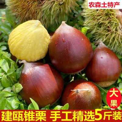最好板栗品种排名,板栗哪里好吃又甜-第3张图片-厨房小当家 最好板栗品种排名,板栗哪里好吃又甜-第3张图片-厨房小当家
