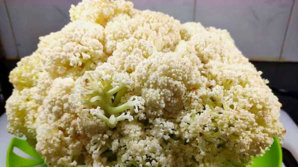 花菜吃什么部位,菜花哪里能吃哪里不能吃-第3张图片-厨房小当家 花菜吃什么部位,菜花哪里能吃哪里不能吃-第3张图片-厨房小当家