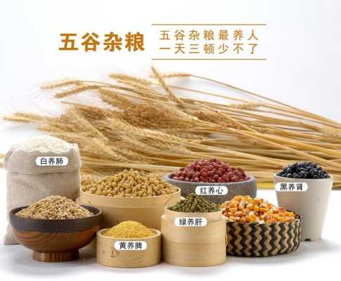 五谷杂粮买哪个产地的好,杂粮哪里的好吃-第3张图片-厨房小当家 五谷杂粮买哪个产地的好,杂粮哪里的好吃-第3张图片-厨房小当家