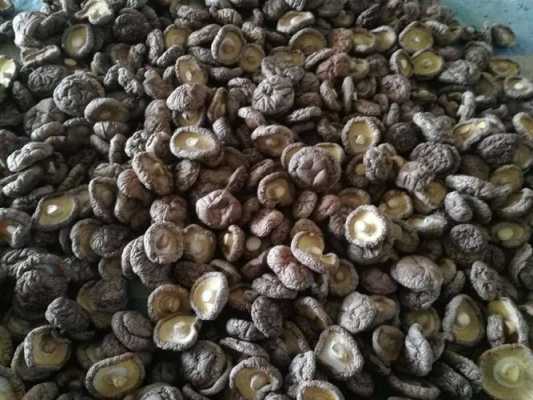 干香菇哪里好(哪里产的香菇干货最好)-第3张图片-厨房小当家 干香菇哪里好(哪里产的香菇干货最好)-第3张图片-厨房小当家
