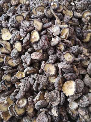 干香菇哪里好(哪里产的香菇干货最好)-第1张图片-厨房小当家 干香菇哪里好(哪里产的香菇干货最好)-第1张图片-厨房小当家