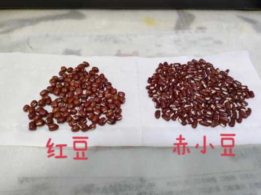 赤小豆哪里好(哪里产的赤小豆最好)-第1张图片-厨房小当家 赤小豆哪里好(哪里产的赤小豆最好)-第1张图片-厨房小当家