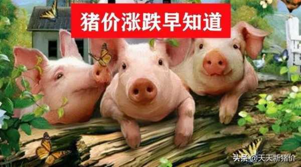 大台农饲料有限公司我喂的优乳浓这款料猪吃了长势不怎么好价格又贵求回答,优浓冰淇淋加盟怎么样啊-第3张图片-厨房小当家 大台农饲料有限公司我喂的优乳浓这款料猪吃了长势不怎么好价格又贵求回答,优浓冰淇淋加盟怎么样啊-第3张图片-厨房小当家