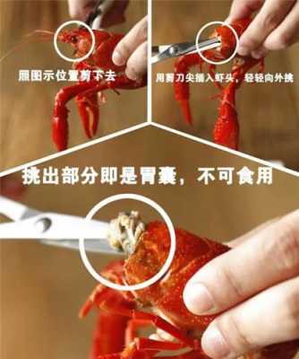 龙虾哪里不能吃图解(大龙虾什么部位不能吃)-第2张图片-厨房小当家 龙虾哪里不能吃图解(大龙虾什么部位不能吃)-第2张图片-厨房小当家