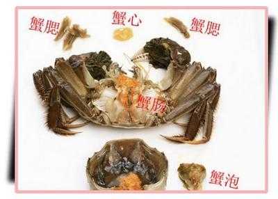 河蟹哪里不能吃图解(河蟹哪里不能吃高清图解)-第2张图片-厨房小当家 河蟹哪里不能吃图解(河蟹哪里不能吃高清图解)-第2张图片-厨房小当家