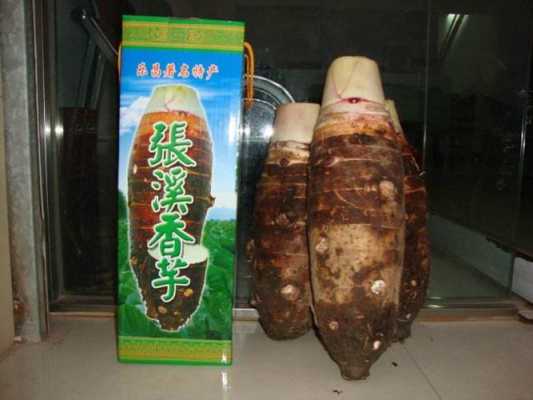 世界十大香芋品种,香芋哪里的最好吃最正宗-第3张图片-厨房小当家 世界十大香芋品种,香芋哪里的最好吃最正宗-第3张图片-厨房小当家