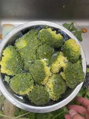 西兰花哪里不能吃(这样的西兰花可以吃吗,在冰箱里十几天了)-第2张图片-厨房小当家 西兰花哪里不能吃(这样的西兰花可以吃吗,在冰箱里十几天了)-第2张图片-厨房小当家