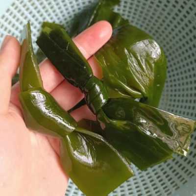 海带哪里的质量好,哪里海带好吃又便宜-第2张图片-厨房小当家