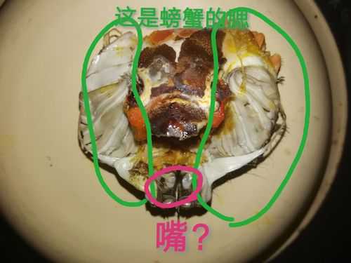 螃蟹的嘴巴怎么形容,螃蟹的嘴在哪里图片-第1张图片-厨房小当家 螃蟹的嘴巴怎么形容,螃蟹的嘴在哪里图片-第1张图片-厨房小当家