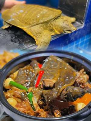 你挨吧在河南话里什么意思,甲鱼老鸹撒西安店-第2张图片-厨房小当家 你挨吧在河南话里什么意思,甲鱼老鸹撒西安店-第2张图片-厨房小当家