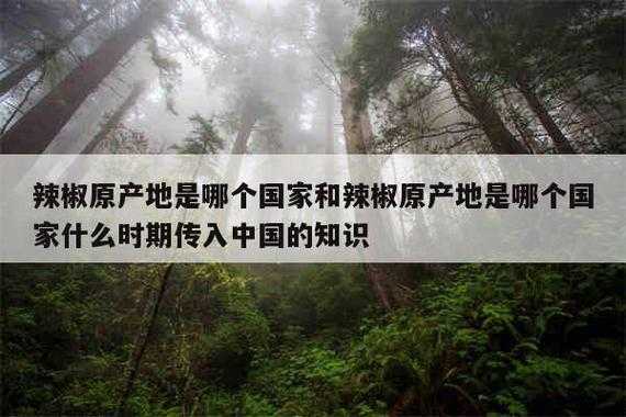 辣椒原产地是哪里(辣椒原产地是哪个国家)-第1张图片-厨房小当家 辣椒原产地是哪里(辣椒原产地是哪个国家)-第1张图片-厨房小当家
