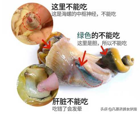 大海螺哪里不能吃教程(大海螺哪里不能吃)-第3张图片-厨房小当家 大海螺哪里不能吃教程(大海螺哪里不能吃)-第3张图片-厨房小当家
