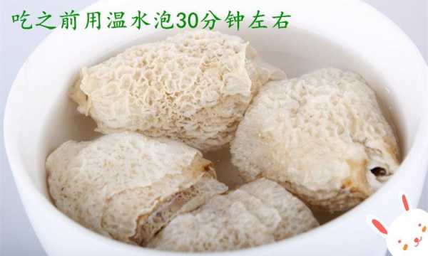 竹荪菌盖头图是哪里(竹荪的裙边能吃吗)-第3张图片-厨房小当家 竹荪菌盖头图是哪里(竹荪的裙边能吃吗)-第3张图片-厨房小当家