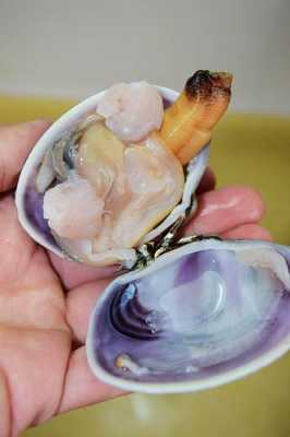 海鲜天鹅蛋哪里不能吃(海鲜天鹅蛋哪里不能吃图片)-第3张图片-厨房小当家 海鲜天鹅蛋哪里不能吃(海鲜天鹅蛋哪里不能吃图片)-第3张图片-厨房小当家